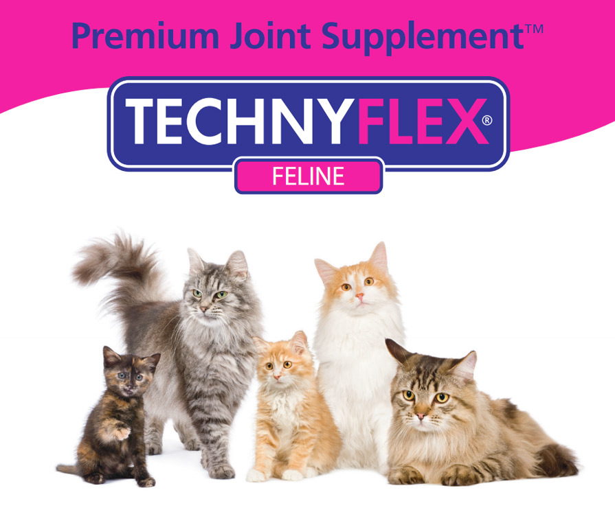 Technyflex Feline - Natural Arthritis & Joint Pain Relief Supplement for Cats
